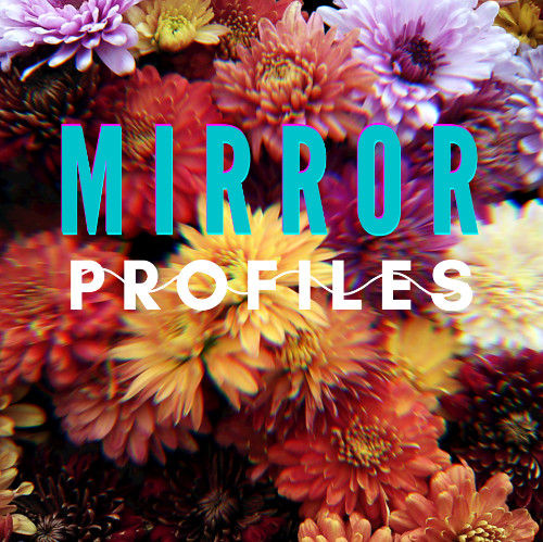 MirrorProfiles